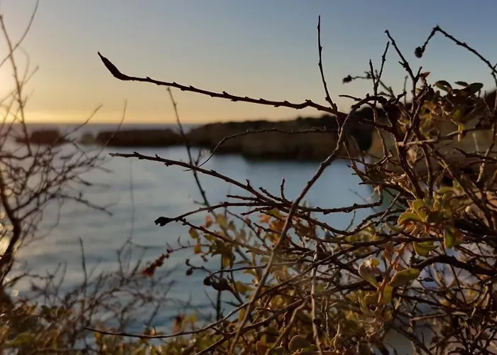 Cliffs House 度假居 阿尔布费拉